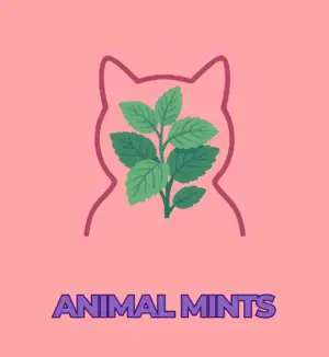 Animal Mints - SeedJunky Genetics