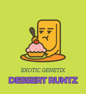 Dessert Runtz - Exotic Genetix