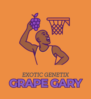 Grape Gary - Exotic Genetix