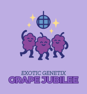 Grape Jubilee - Exotic Genetix