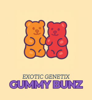 Gummy Bunz - Exotic Genetix