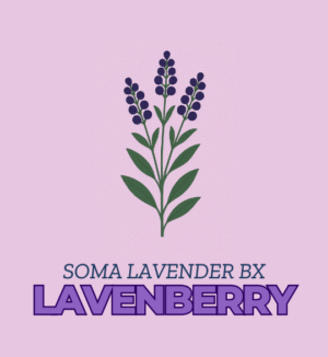 Lavenberry - Soma Lavender Backcross