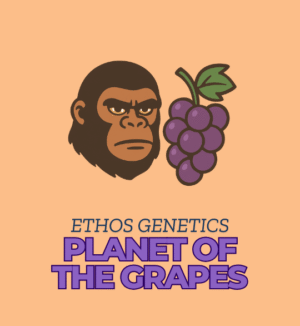 Planet of the Grapes - Ethos Genetics