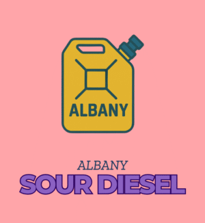 Sour Diesel - Albany