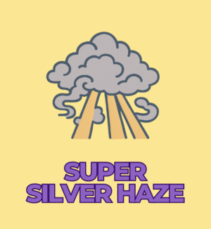 Super Silver Haze