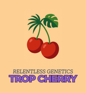 Trop Cherry - Relentless Genetics